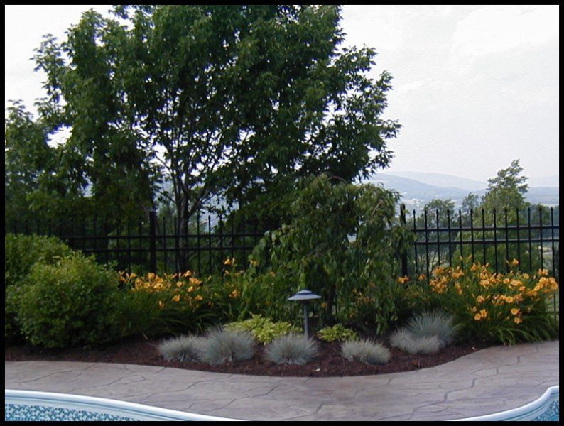 Landscaping Job